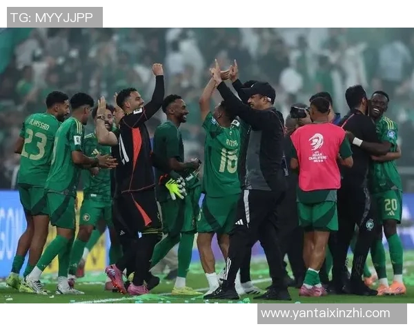 世界杯参赛队伍已定28支亚非直通名额全部确认