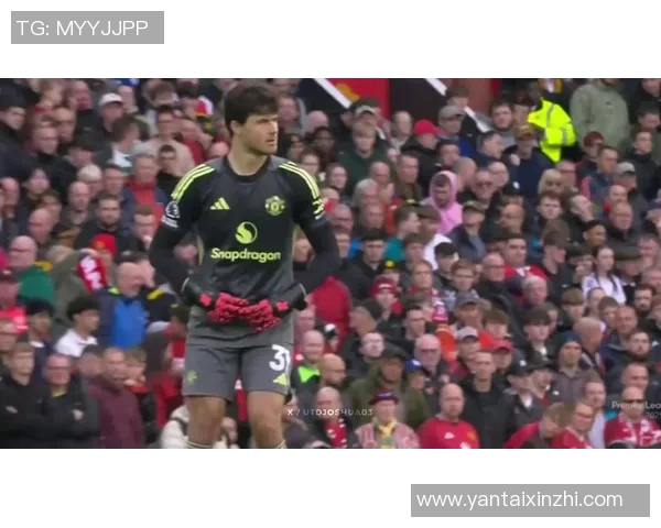 费迪南德称赞拉门斯稳定表现提升全队信心助力战胜桑德兰